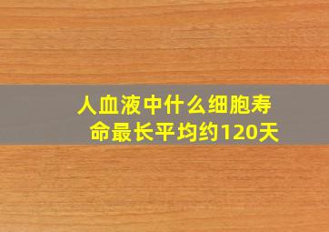 人血液中什么细胞寿命最长平均约120天