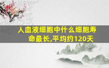 人血液细胞中什么细胞寿命最长,平均约120天