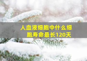 人血液细胞中什么细胞寿命最长120天