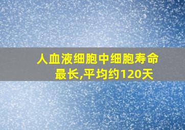 人血液细胞中细胞寿命最长,平均约120天