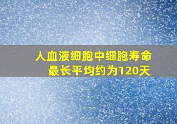 人血液细胞中细胞寿命最长平均约为120天