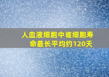 人血液细胞中谁细胞寿命最长平均约120天