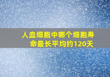 人血细胞中哪个细胞寿命最长平均约120天