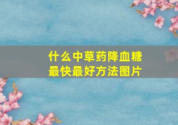 什么中草药降血糖最快最好方法图片