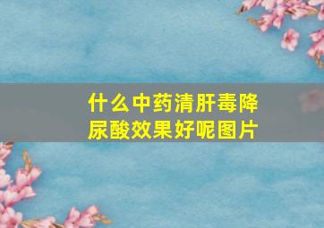 什么中药清肝毒降尿酸效果好呢图片