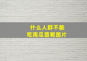 什么人群不能吃南瓜苗呢图片