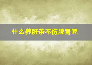 什么养肝茶不伤脾胃呢