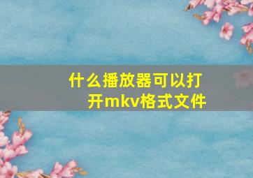 什么播放器可以打开mkv格式文件