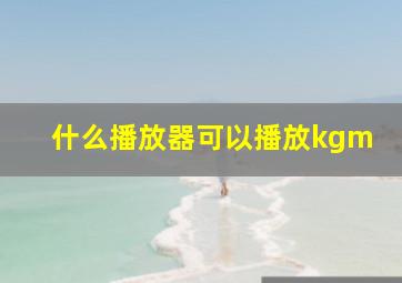 什么播放器可以播放kgm