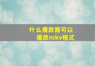 什么播放器可以播放mkv格式