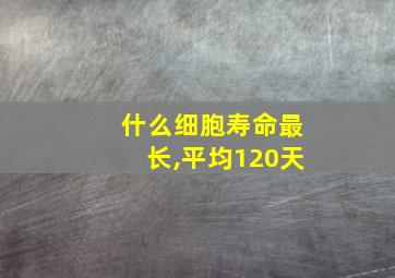 什么细胞寿命最长,平均120天