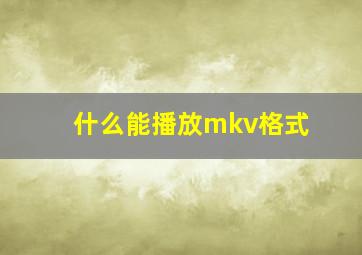 什么能播放mkv格式