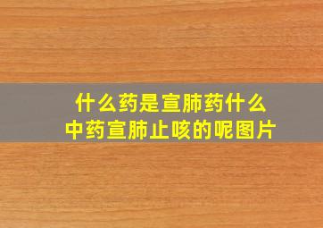 什么药是宣肺药什么中药宣肺止咳的呢图片