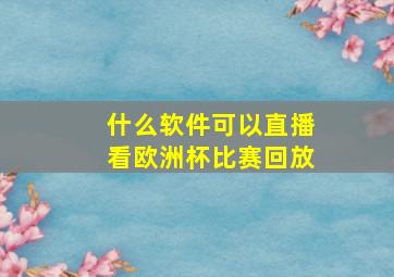 什么软件可以直播看欧洲杯比赛回放