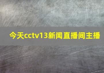 今天cctv13新闻直播间主播