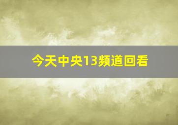 今天中央13频道回看