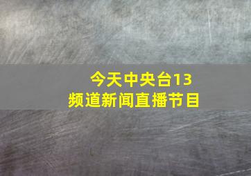 今天中央台13频道新闻直播节目