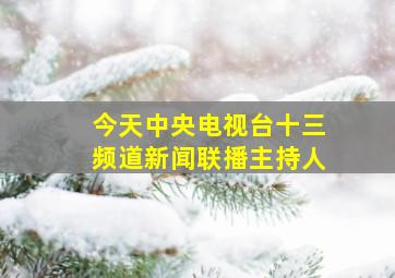 今天中央电视台十三频道新闻联播主持人