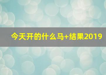 今天开的什么马+结果2019