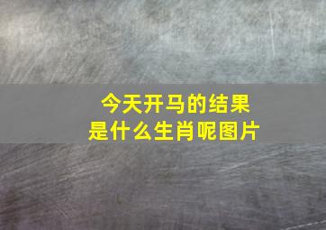 今天开马的结果是什么生肖呢图片