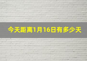 今天距离1月16日有多少天