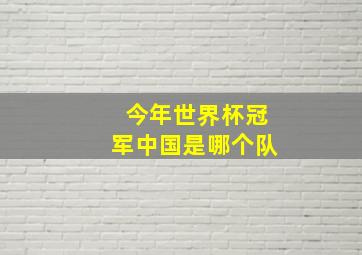 今年世界杯冠军中国是哪个队