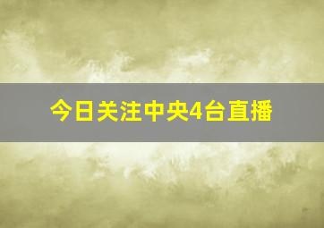 今日关注中央4台直播