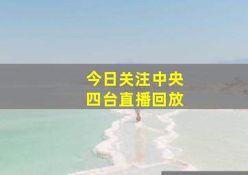 今日关注中央四台直播回放