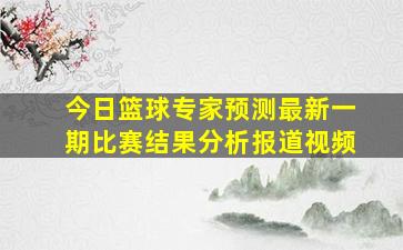 今日篮球专家预测最新一期比赛结果分析报道视频