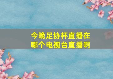 今晚足协杯直播在哪个电视台直播啊