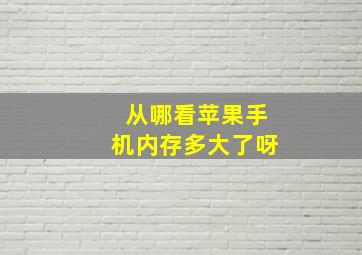 从哪看苹果手机内存多大了呀