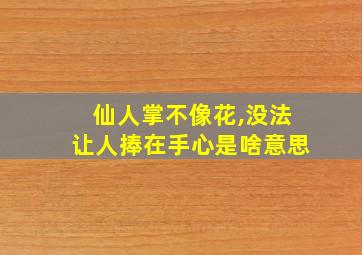 仙人掌不像花,没法让人捧在手心是啥意思