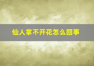 仙人掌不开花怎么回事