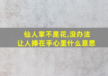 仙人掌不是花,没办法让人捧在手心里什么意思