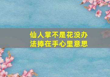 仙人掌不是花没办法捧在手心里意思