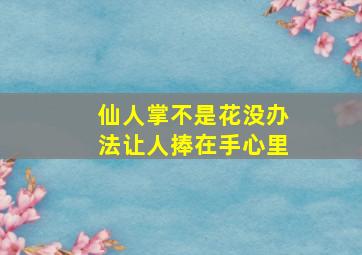 仙人掌不是花没办法让人捧在手心里