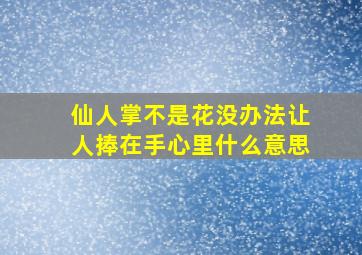 仙人掌不是花没办法让人捧在手心里什么意思