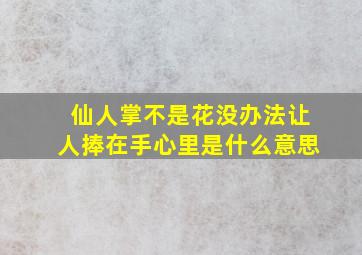 仙人掌不是花没办法让人捧在手心里是什么意思