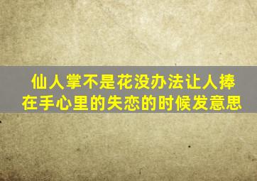 仙人掌不是花没办法让人捧在手心里的失恋的时候发意思