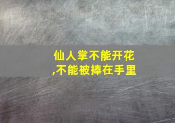 仙人掌不能开花,不能被捧在手里