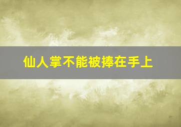 仙人掌不能被捧在手上