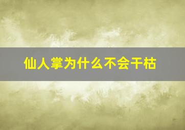 仙人掌为什么不会干枯