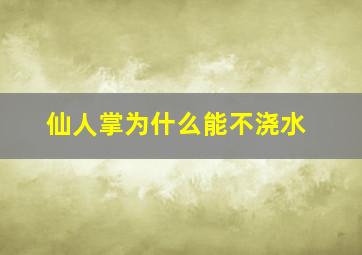 仙人掌为什么能不浇水