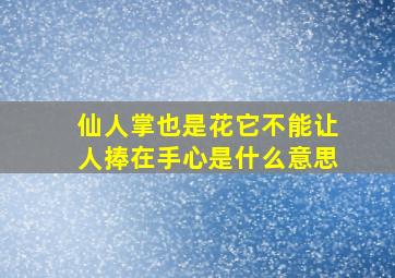 仙人掌也是花它不能让人捧在手心是什么意思