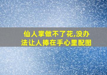 仙人掌做不了花,没办法让人捧在手心里配图