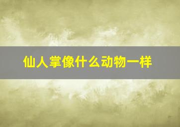 仙人掌像什么动物一样