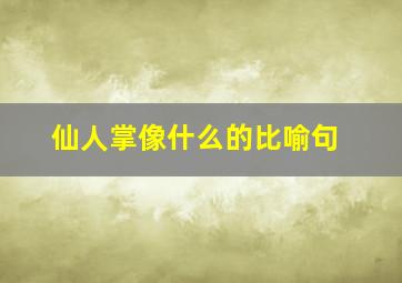 仙人掌像什么的比喻句