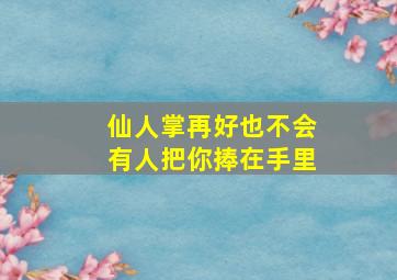 仙人掌再好也不会有人把你捧在手里