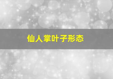 仙人掌叶子形态