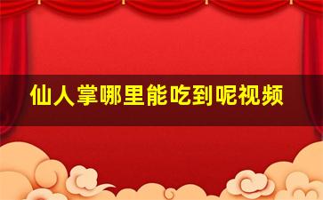 仙人掌哪里能吃到呢视频